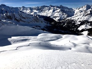 Grandiose Abfahrt im schönsten Pulverschnee